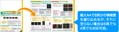 最大A4で8頁分の情報量を盛り込めるが、それに至らない場合は6頁でも4頁でも対応可能。