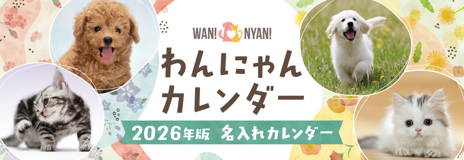 わんにゃんカレンダー2026